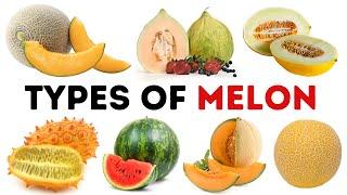 types of melon | Category of Melons | Fresh Melons