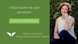Пространство для дыхания | Соня Шокет