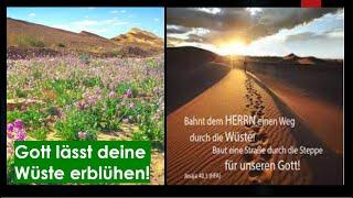 GEHEIMNIS - Deine Wüstenzeit ist Teil von Gottes Segensplan!