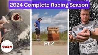 part 2 How To Train Your Pigeon. Complete 2024 Racing Season