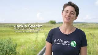 EESLR: Assessing Nature's Role in Resilience