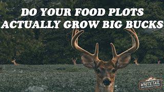 HOW I GROW BIGGER BUCKS THAN MY NEIGHBORS! Every time!!!