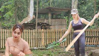 Build a chicken coop and complete the entire bamboo fence