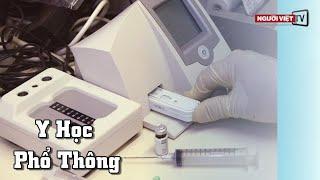 Nước Tiểu Không Đỏ Sao Bác Sĩ Lại Nói Có Máu?