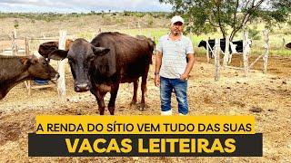 Pequeno Produtor Rural no interior da Bahia apostou na pecuária de leite (Piritiba)