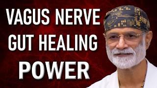 How the Vagus Nerve Heals Your Gut: The Key to Digestive Health and Healing