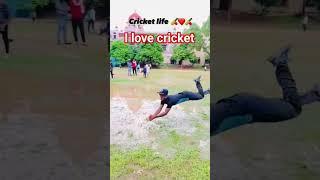 I Love cricket #shorts #youtubeshorts #cricket #viral