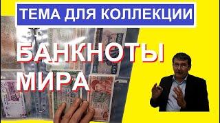 Банкноты мира / Тема для коллекции / семейная коллекция