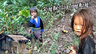 Gặp Lại Bé Di Trong Rừng, Con Người Đàn Ông Sinh 3 Con 1 Lúc.