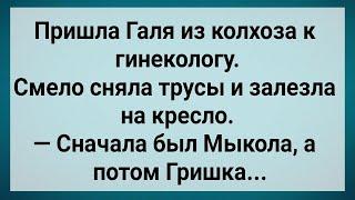 Как Галя из Колхоза к Гинекологу Пришла! Сборник Свежих Анекдотов! Юмор!