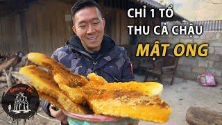 Độc đáo “mật ong phân bò” trên núi cao