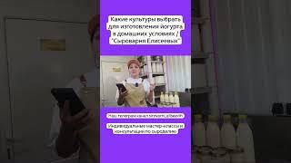 Какие культуры выбрать для изготовления йогурта в домашних условиях / "Сыроварня Елисеевых"