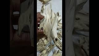 MK Agarwood Assam || natural quality || Assam wood Nothing worked || reality this product ||