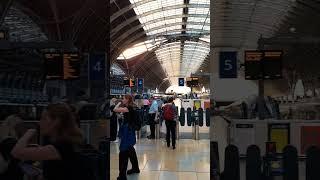 Train GWR Paddington #shorts