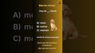 Learn German | Lerne Deutsch |  #shorts #learngerman #lernedeutsch #deutschlernen