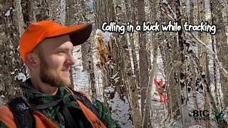 CALLING IN a BIG WOODS BUCK with Logan Rackliff | Big Woods Bucks