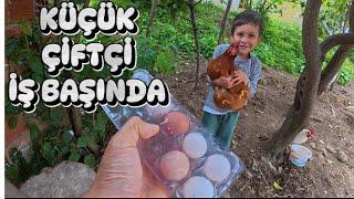 Küçük Ellerden Büyük Sorumluluk | Günün Yumurtaları Hazır | Köy VLOG 2