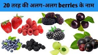 Types of berries | All berries name in hindi and English | 20 types of berries