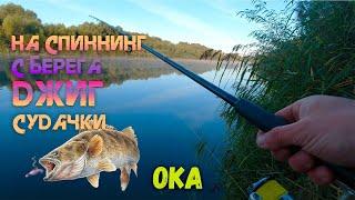 На СПИННИНГ с БЕРЕГА ОСЕНЬЮ | Река ОКА | Вредные судачки