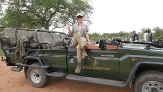 A Luxury South African Safari with Royal Malewane