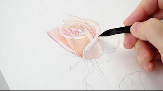 Watercolor Rose Tutorial Part 1