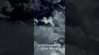 איזה חיים אתה בוחר | הרב דניאל זר