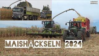 Maishäckseln nonstop bis in den Regen - Claas Jaguar 970 - 50 Jahre Edition - LU Winderl