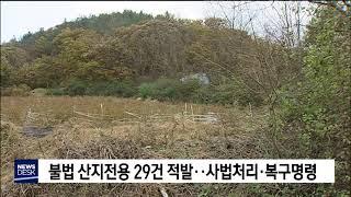 불법 산지전용 29건 적발‥사법처리·복구명령[포항MBC뉴스]