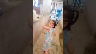 gay ki seva kar , jivan jae savar  | gaumata | aapki kripa | plz support guys #gauseva#shortsfeed