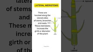 Lateral Meristems - Helps in increase the girth and diameter of the plant ️ #biologybloom