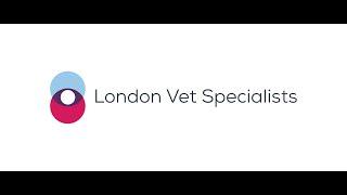 London Vet Specialists - Immune Mediated Polyarthritis