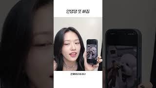 [아이브] 안댕댕 또 삐짐
