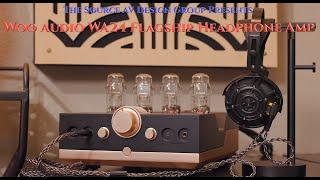 Woo Audio WA24 Flagship 20th Anniversary Headphone Amplifier: Is This The Best Tube Amp of 2024?