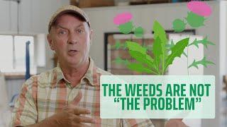 Weeds are NOT "The Problem"