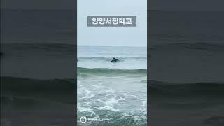 양양서핑학교