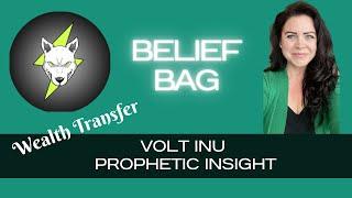 Video 10 | Volt Inu Prophetic Insight | Wealth Transfer