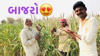 બાજરો લણવા ની શરૂઆત કરી દીધી ||bajaro ||#Gujarati vlog #deshivlog ||#printalajjuvlog