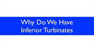 Why Do We Have Inferior Turbinates? Sinus care〚  Inferior Turbinates 〛