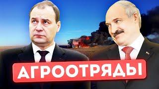 Запрет на импорт для сельского хозяйства РБ / Прикорытники лукашенко в активном поиске специалистов