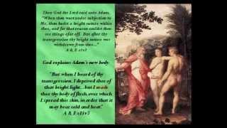 The Bright Nature of Adam & Eve