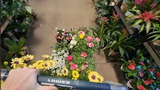 Shopping For Plants and Starting Colorful Containers || Saturday Vlog