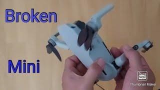 Broken Mini : 3rd Crush Broke It's Leg