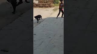 comedy video Rajneesh Yadav