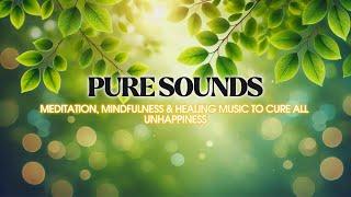 Pure Sounds | Meditation, Mindfulness & Healing Music to Cure All Unhappiness | Life in a Blink