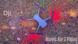 DJI Mavic Air 2 | Cinematic 2020