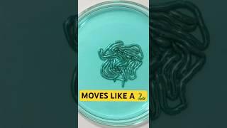 Slithering liquid metal motivated by chemistry | Headline Science