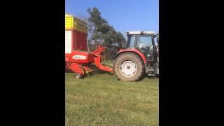 Massey ferguson 5465 vs torro