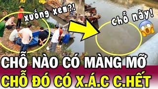 Thấy MÀNG MỠ nổi, nghi có X.ÁC C.HẾT - Hàng chục người HIẾU KỲ vây kín chân cầu | Tin Việt Độc Lạ