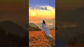 #사나이눈물 #차은성 #트로트 #shorts