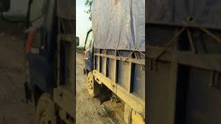 BÁN GIỐNG BƯỞI DIỄN CHUẨN TẠI ĐẤT PHÚ DIỄN- HÀ NỘI, KHÁCH HÀNG QUEN: 096.239.2038